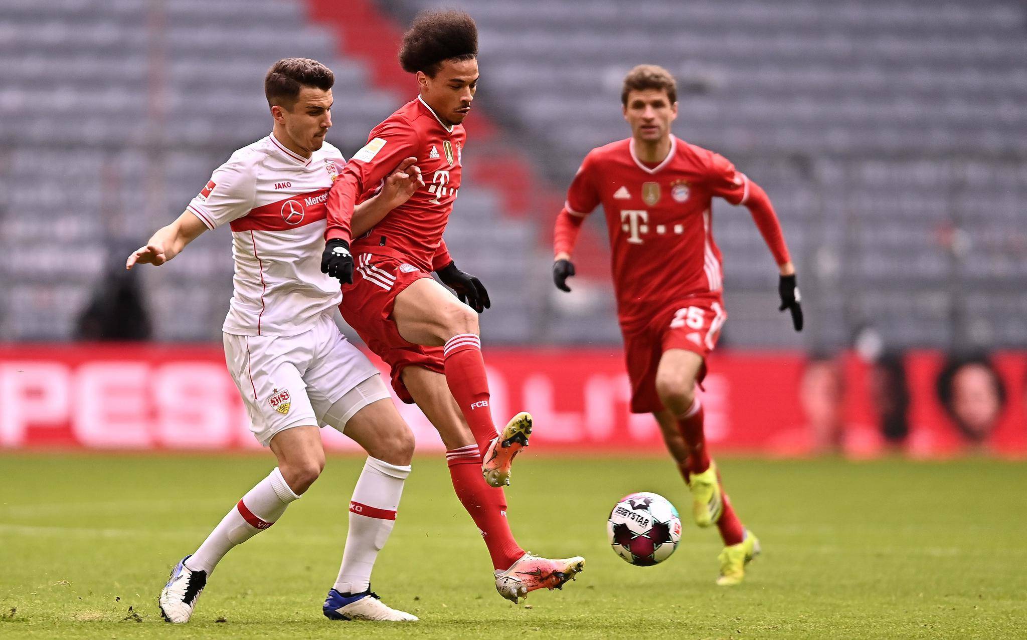 50吨植物油精炼设备